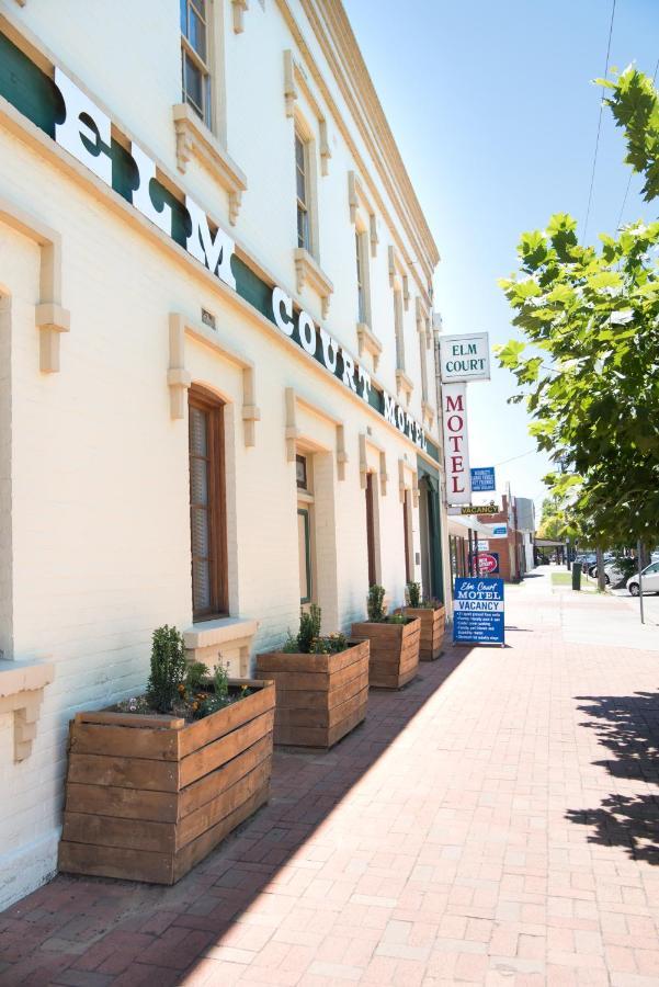 Elm Court Motel Albury Kültér fotó