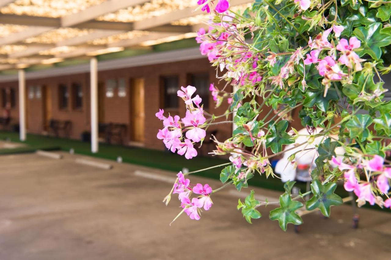 Elm Court Motel Albury Kültér fotó