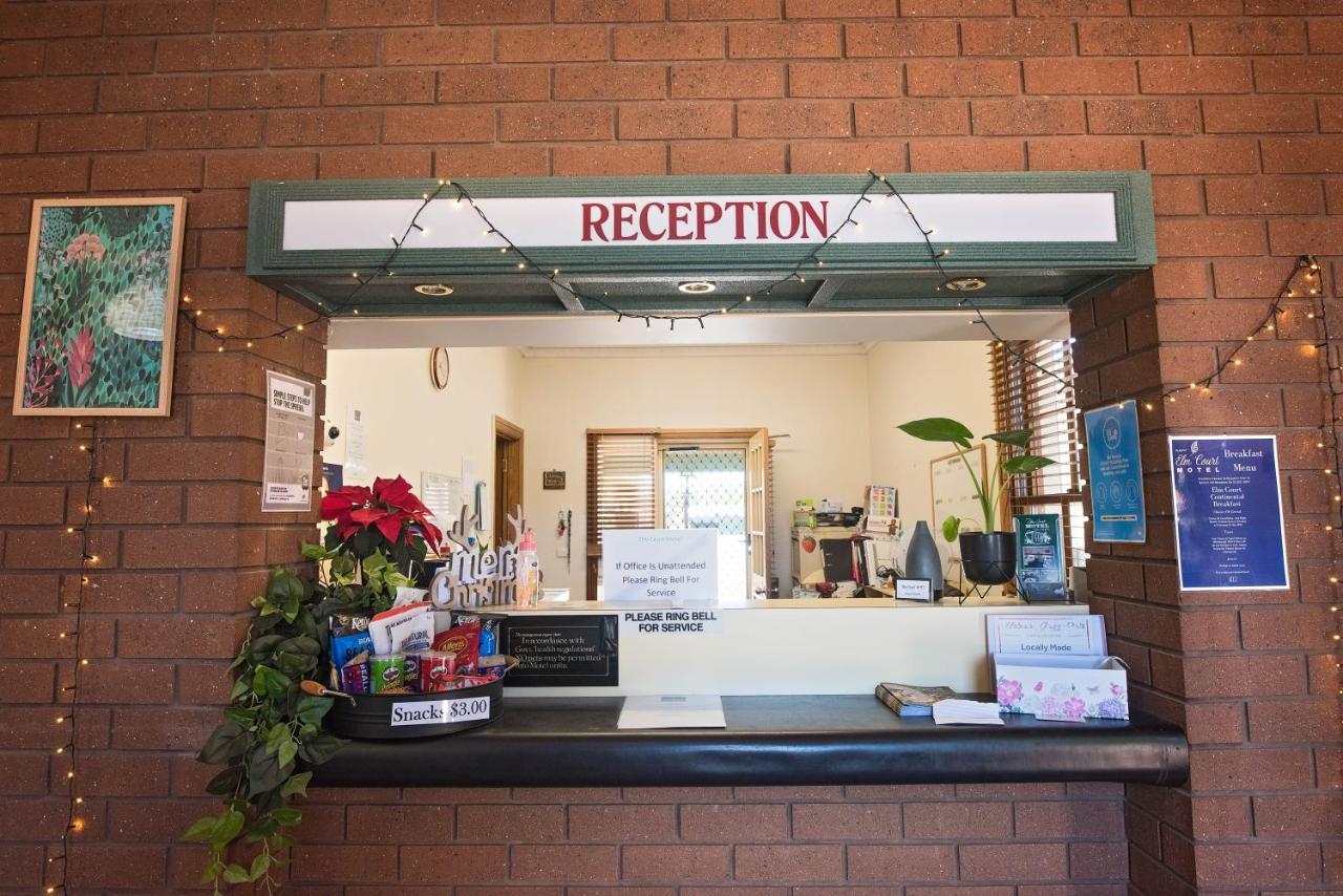 Elm Court Motel Albury Kültér fotó